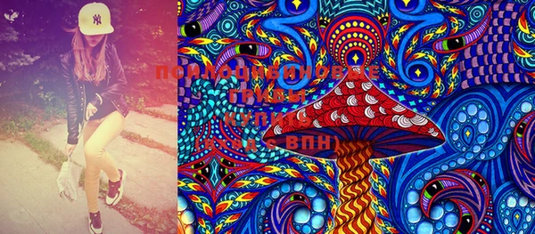 молекула духа Покровск