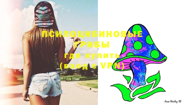 молекула духа Покровск