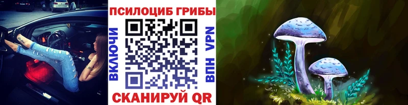 Псилоцибиновые грибы Cubensis  Купить где  Сим 